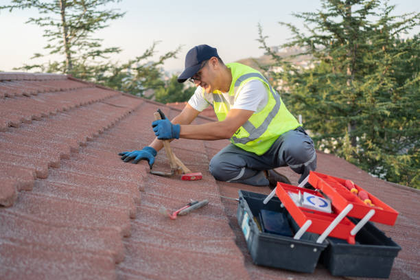 Best Roof Gutter Cleaning  in Woodcrest, CA
